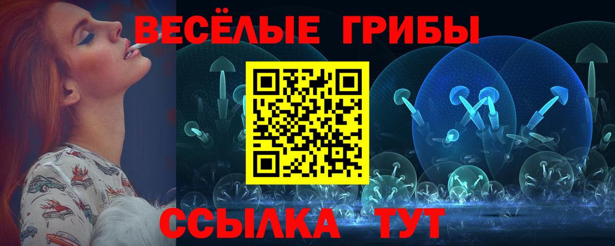 Благодарный  Галлюциногенные грибы прущие грибы  даркнет сайт  Вход с VPN 